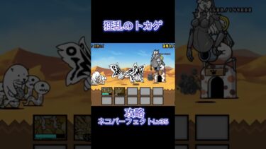 狂乱のネコトカゲ攻略！#にゃんこ大戦争#狂乱#狂乱のネコトカゲ#ねこてんぷら