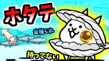【イワシ、イカに続き】 ネコホタテ (赤いタマゴ:N206 第3形態) 性能紹介　【にゃんこ大戦争】