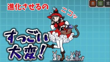 【にゃんこ大戦争】 ラブずきんミーニャを進化させる…！