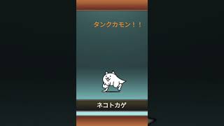 タンクカモンщ(ﾟДﾟщ)!!#にゃんこ大戦争初心者 #apexしてます #にゃんこ大戦争ガチャ #にゃんこ大戦争