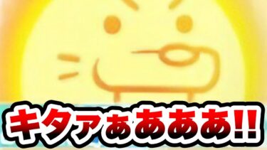 えっ！？キターーーーーーーー！！！　にゃんこ大戦争