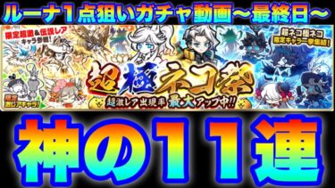 ルーナ狙い超極ネコ祭ガチャで起きた「神の11連」〜最終日〜　#にゃんこ大戦争