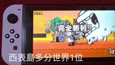 西表島最速攻略　＃ニャンピューター＃神様＃実写動画＃にゃんこ大戦争