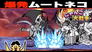 ドイヒーくんのゲーム実況「にゃんこ大戦争その４７７・ネコヴァルキリー・ネコムート大試練・本能解放への道」