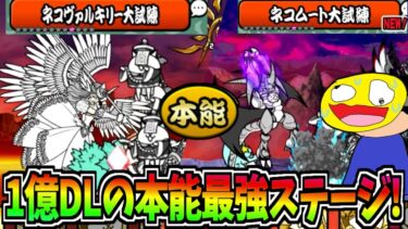 にゃんこ大戦争が1億DL突破!!覚醒のネコムートがチートキャラになる神本能ステージを攻略する!!-にゃんこ大戦争【ネコムート大試練・ヴァルキリーの大試練】
