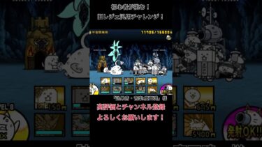 【にゃんこ】ヒカル強すぎる…#にゃんこ大戦争初心者 #shorts #のびろ