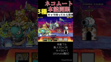 にゃんこ大戦争 覚醒ムート本能 本能解放の道 本能強い #覚醒のネコムート #にゃんこ大戦争 #覚醒 #開眼 #thebattlecats #ゲーム実況 #にゃんこ大戦