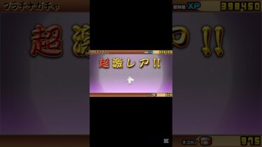 被らなかっただけマシ　#にゃんこ大戦争  #ゲーム実況