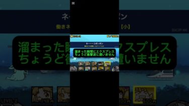 【拡散求】周回世界最速になってしまいました。 #にゃんこ大戦争 #ゲーム #ゲーム実況 #実況 #ガチャ