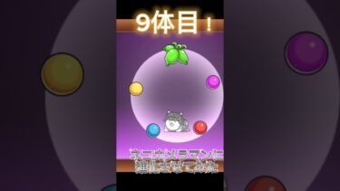 9体目！ネコカメラマンに進化させてみた☺️#にゃんこ大戦争 #にゃんこ大戦争初心者 #ゲーム #にゃんこ大戦争レアキャラクター第3形態おすすめ