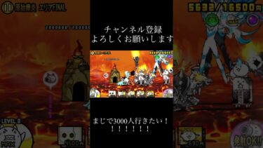 これで完全制覇や！！！！！！！ #にゃんこ大戦争 #ゲーム実況 #ゲーム #おすすめ #shorts #バズれ #にゃんこ10周年 #にゃんこ12周年 #ばずれ #チャンネル登録お願いします