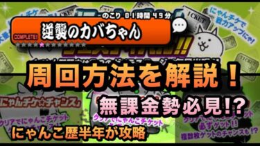 【攻略】無課金勢必見!?にゃんこ歴半年が逆襲のカバちゃん周回方法を解説！［にゃんこ大戦争］