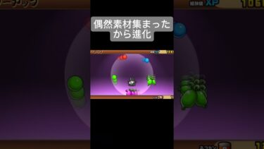 こいつ強いの？？※字途切れ  #shorts #にゃんこ大戦争 #にゃんま大戦争 #初心者 #ラーメン道