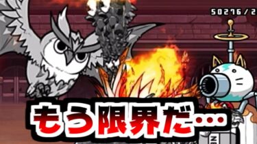 【にゃんこ大戦争】同一編成攻略にこだわりすぎた男の異次元コロシアム最終章【本垢実況Re#2101】