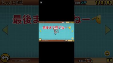 久しぶりの動画 #にゃんこ大戦争 #配信するぅ