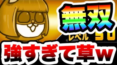 【朗報】暗黒嬢が強すぎてまた最新ステージを荒らしてしまうww　にゃんこ大戦争