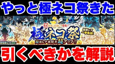 最強の極ネコ祭ガチャがやっときた！引くべきかを解説します！　#にゃんこ大戦争