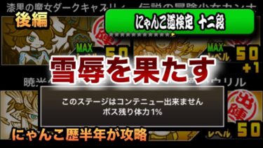 【にゃんこ道検定12段 最終試験】烈波軍団で勝利!? 残り体力1%の雪辱を果たす！にゃんこ歴半年の初心者が攻略してた［にゃんこ大戦争］後編