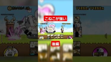 こねこが強い❗後編 #にゃんこ大戦争ガチャ #にゃんこ大戦争