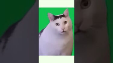 【マイクラ】まっつーに内緒でにゃんこ大戦争してみた【ゆっくり実況】