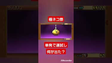 高評価とコメントでこの動画をバズらせよう！果たして何が出た！？極ネコ祭#にゃんこ大戦争ガチャ #にゃんこ大戦争 #にゃんこ大戦争ネタ