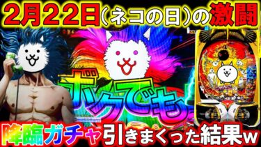 【Pにゃんこ大戦争】2月22日(ネコの日)に降臨ガチャ15回獲った結果がエグすぎた件｡【にゃんこ大戦争 多様性のネコ】【パチンコ実践】