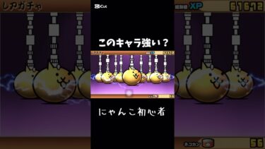 このキャラ強いですか？#にゃんこ大戦争 #にゃんこ #にゃんこ初心者#にゃんこ大戦争ガチャ #にゃんこ大戦争初心者 #超激レア#おすすめにのりたい #おすすめ #ばずれ #バズりたい#shorts