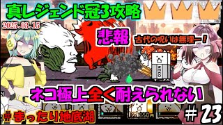 [にゃんこ大戦争]最強壁崩壊？ネコ極上が全く耐えられない真レジェンド冠3攻略[ゆっくり実況]＃まったり地底湖