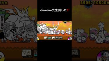 何かがおかしいにゃんこ大戦争#にゃんこ大戦争#にゃんこ初心者