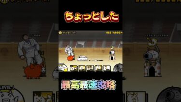 【個人的最高最速攻略】ちょっとした遊びで個人的最速攻略してみました！！#shortvideo #にゃんこ大戦争 #shorts #ネタ動画 #おもしろ