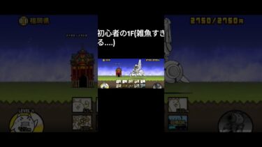 誰か詳しい方お願いします‼️あとデータまた消えました✌︎(´∂`)☆#にゃんこ大戦争#1F#にゃんこ大戦争初心者 #にゃんこ大戦争攻略
