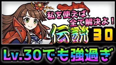 あのクソステージで大活躍！Lv.30でも京坂さんは強過ぎましたw  　にゃんこ大戦争