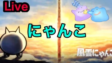 【にゃんこ大戦争SV】真レジェンド攻略配信！