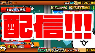 矯正のせいで活舌が終わってる配信【にゃんこ大戦争】