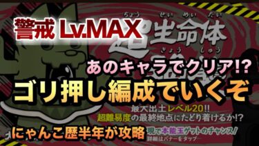 【ダイハニワン強襲 警戒レベルMAX】最近ゲットしたあのキャラでクリア!?にゃんこ歴半年が攻略してみた［にゃんこ大戦争］