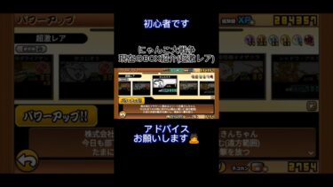 初心者のBOX紹介(超激レア)　#にゃんこ大戦争#にゃんこ大戦争初心者 #box紹介