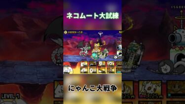 ネコムート本能爆破解放！ 【にゃんこ大戦争】#にゃんこ大戦争 #にゃんこ大戦争初心者 #にゃんこ大戦争攻略