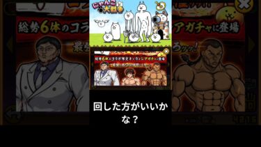 コラボガチャ回した方がいいかな？ #にゃんこ大戦争初心者