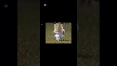 えっほえっほえっほえっほ