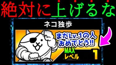 【初心者注意】ネコ独歩のレベルを上げてはいけません　にゃんこ大戦争