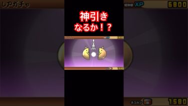 【にゃんこ大戦争】ガチャで神引きなるか！？#にゃんこ大戦争#ラキGame#配信#視聴者#参加型#VIP#shors#ガチャ#10連#伝説レア