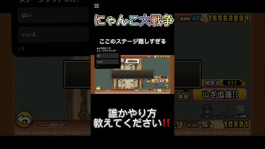 誰か教えて#にゃんこ大戦争 #にゃんこ大戦争攻略 #にゃんこ大戦争初心者