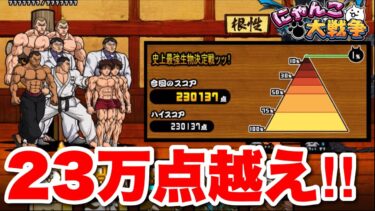 これを見れば刺さるキャラがわかります！　#ランキングの間　#にゃんこ大戦争　#史上最強生物決定戦ッッ！