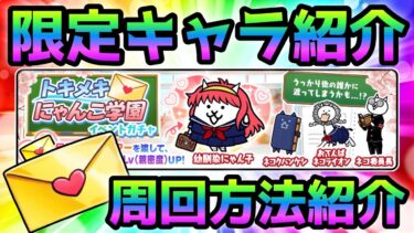 トキメキにゃんこ学園限定キャラと周回方法を紹介　にゃんこ大戦争