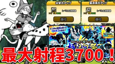【にゃんこ大戦争】極ネコ祭引いた結果・・・最大射程3700のミーニャと対決！！そして鬼にゃんまがまた一歩最強に！【ガチャ】【にゃんこ】【鬼にゃんま】