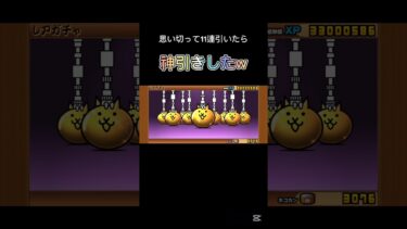 神引きした#にゃんこ大戦争#初心者#ガチャ