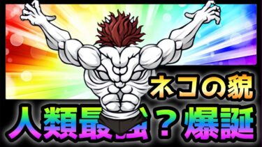 ネコオーガ / ネコの貌　対エイリアン特化キャラ！性能紹介　にゃんこ大戦争　範馬刃牙コラボ