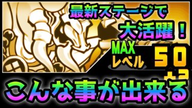 まさかの最新ステージで武田が大活躍！にゃんこ大戦争
