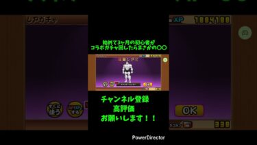 【神引き】始めて3ヶ月の初心者がコラボガチャ引いたらまさかの結果に！#にゃんこ大戦争 #にゃんこ #初心者 #コラボ
