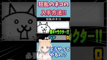 【1分で分かる】狂乱のネコに必ず勝つ方法！【にゃんこ大戦争】【初心者】